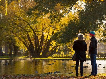 Hagley Park and Gardens