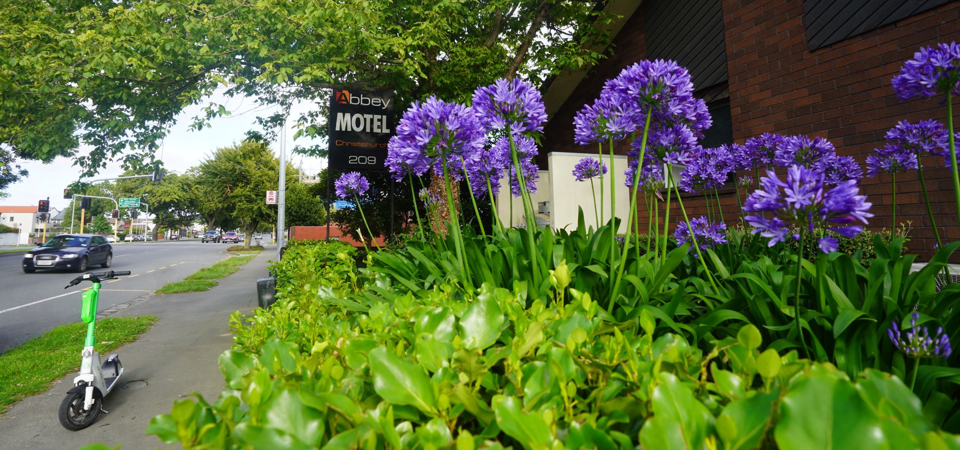 Motel in Christchurch